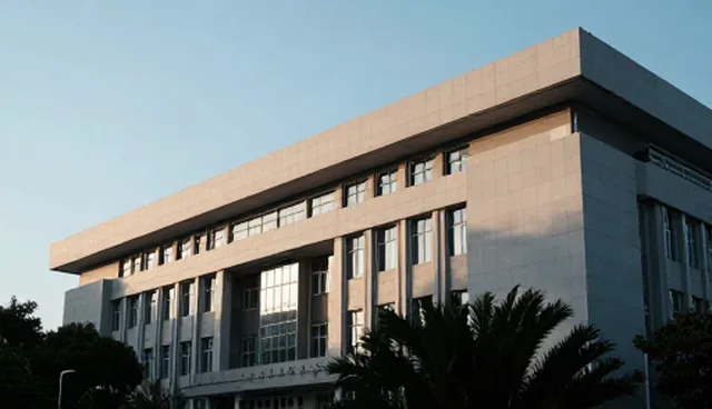 信息技术咨询中地区软件应用的优化路径