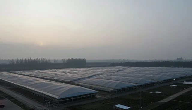 选型关注点如何影响技术适配效果