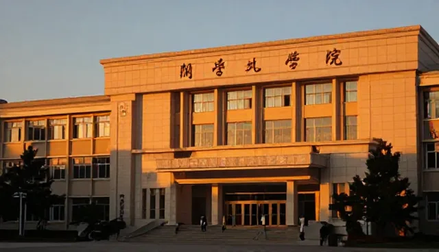 本地化配置的适用场景与限制分析